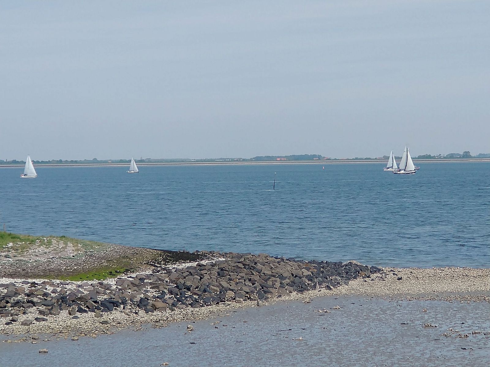 Guest house 610485 - Holiday property Tholen - Vakantiehuis Buurtweg 13