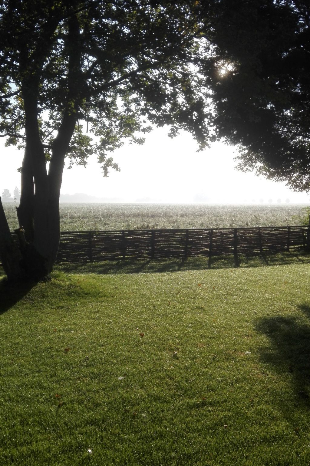 Guest house 610701 - Holiday property Tholen - Vakantiehuis Neuer schöner Bungalow