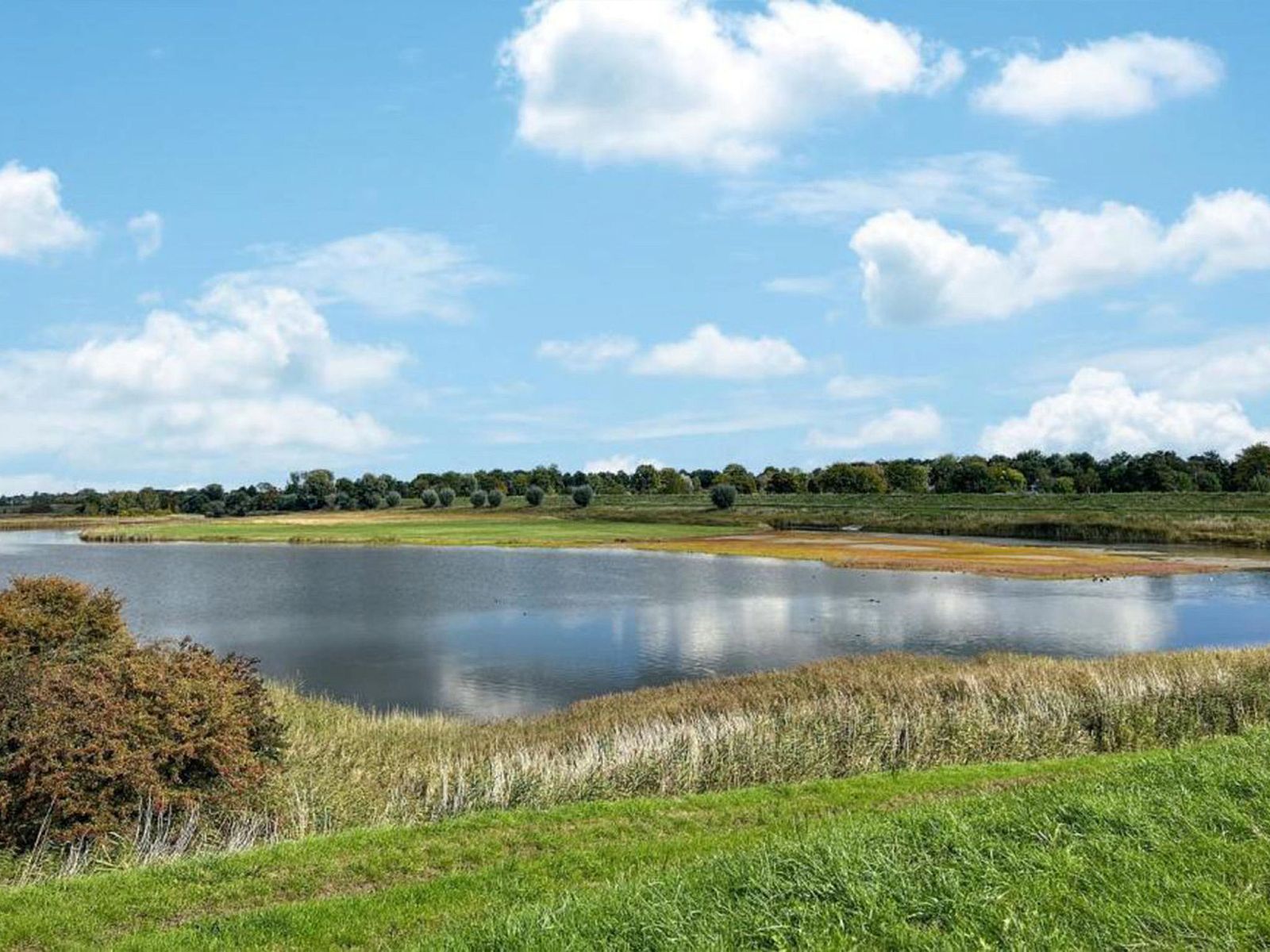 Unterkunft 611015 - Ferienhaus Tholen - Vakantiehuis Vakantiepark de Zeeuwse Parel - De Witte Parel 