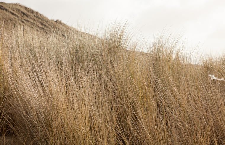 Verblijf 620134 - Vakantiewoning Walcheren - Huisje in Koudekerke