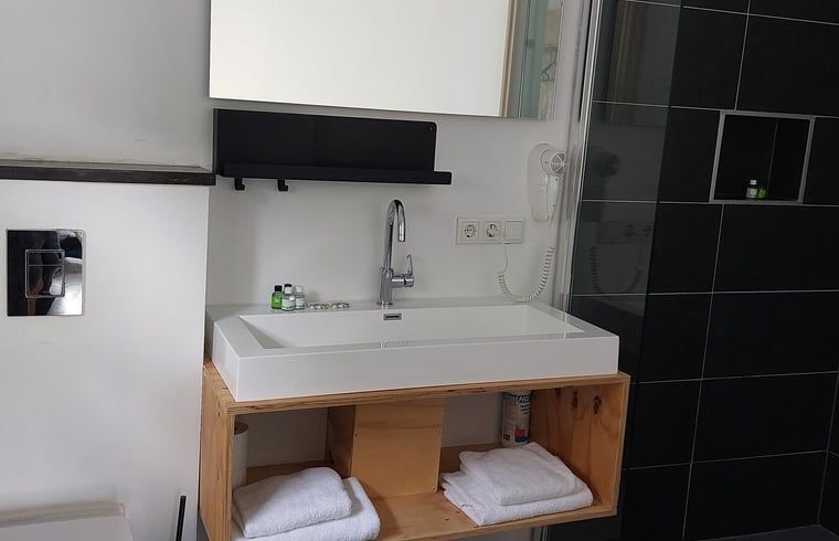 Modern bathroom in Holiday cottage in Koudekerke, Walcheren, Zeeland with spacious sink and stylish decor.