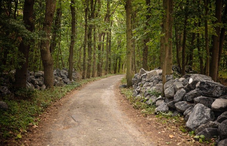 Bewaldete Umgebung um das Ferienhaus in Koudekerke, Zeeland fuer ruhige Spaziergaenge.