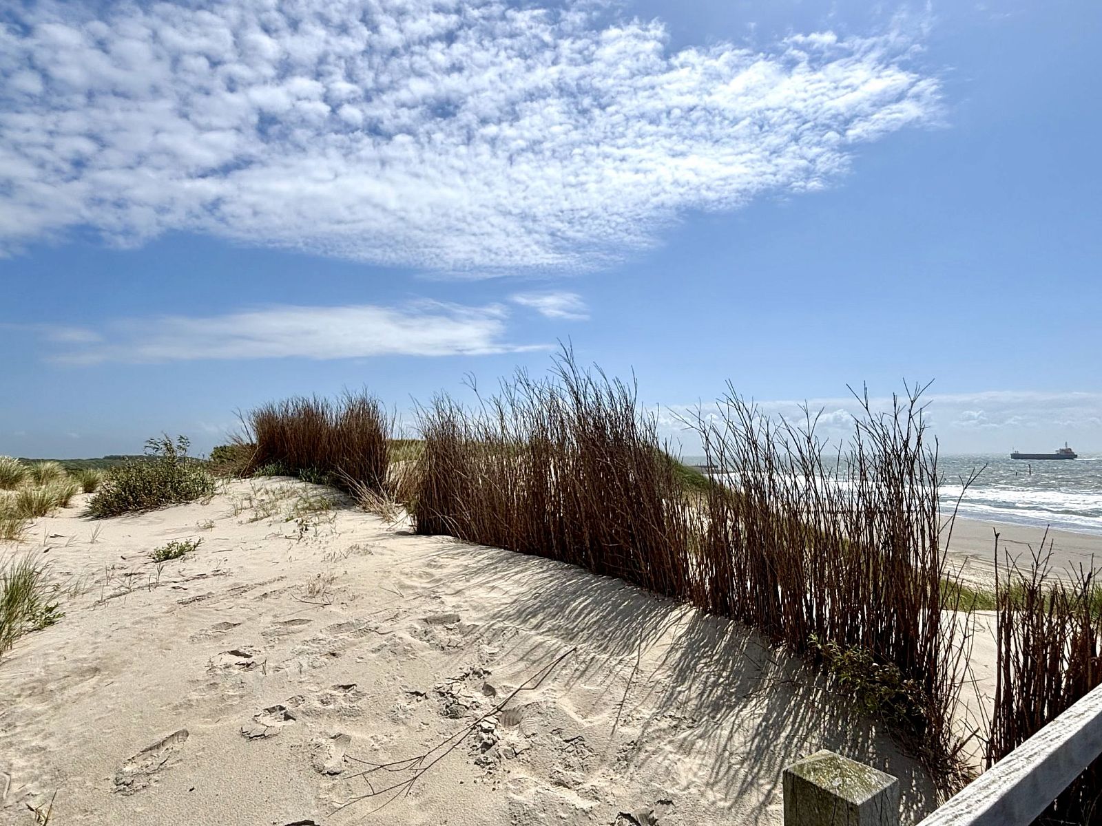 Verblijf 620195 - Vakantiewoning Walcheren - Vakantiehuis Jikkemien