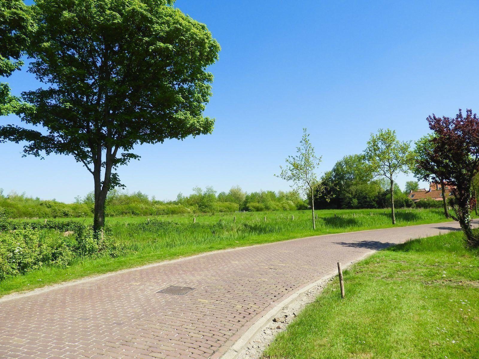 Ruhige Umgebung um VZ488 Ferienhaus Oostkapelle, Walcheren, Zeeland.