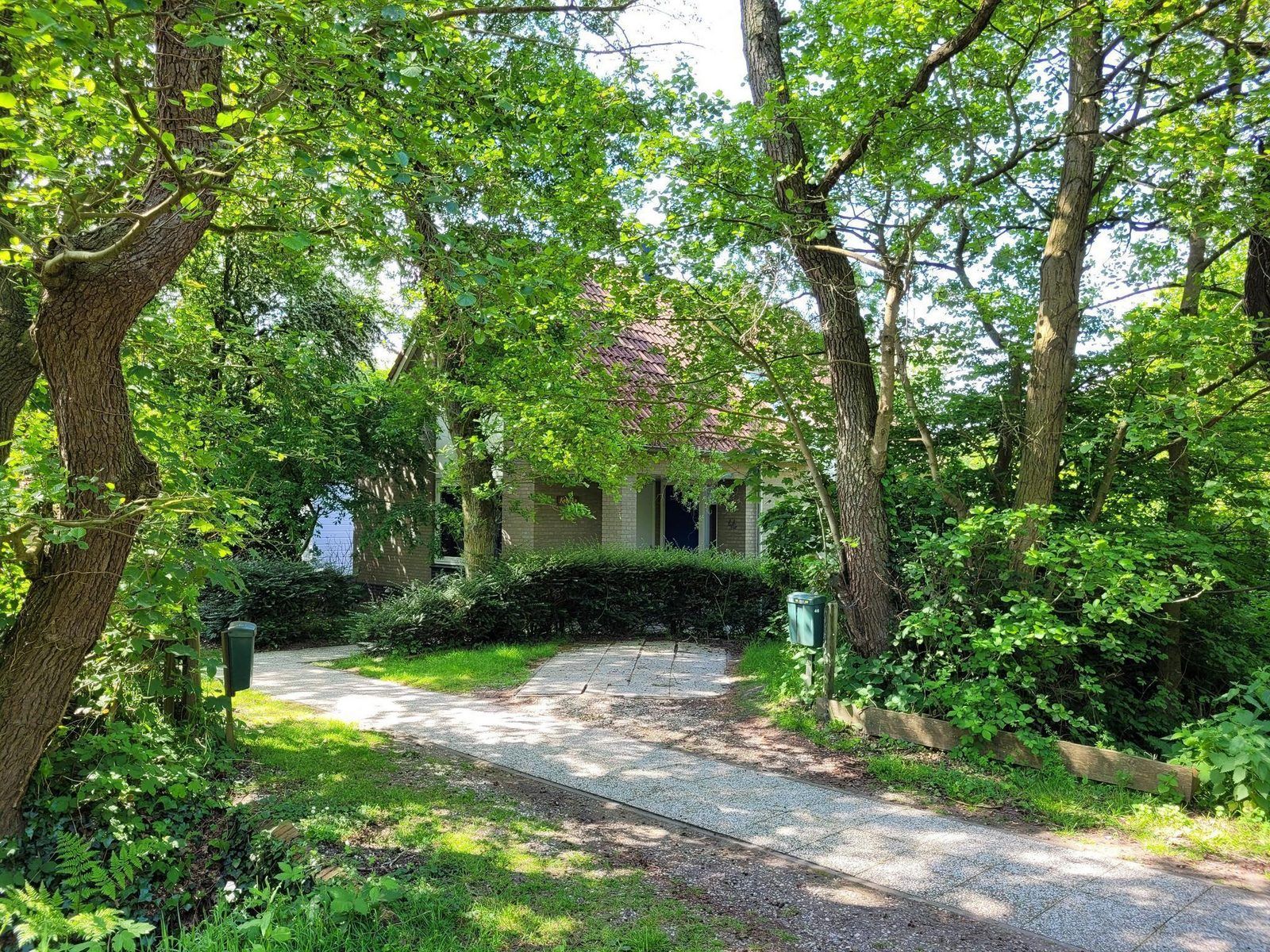 Bomen omringen VZ2330 Vakantiehuis in Oostkapelle, Walcheren, Zeeland.