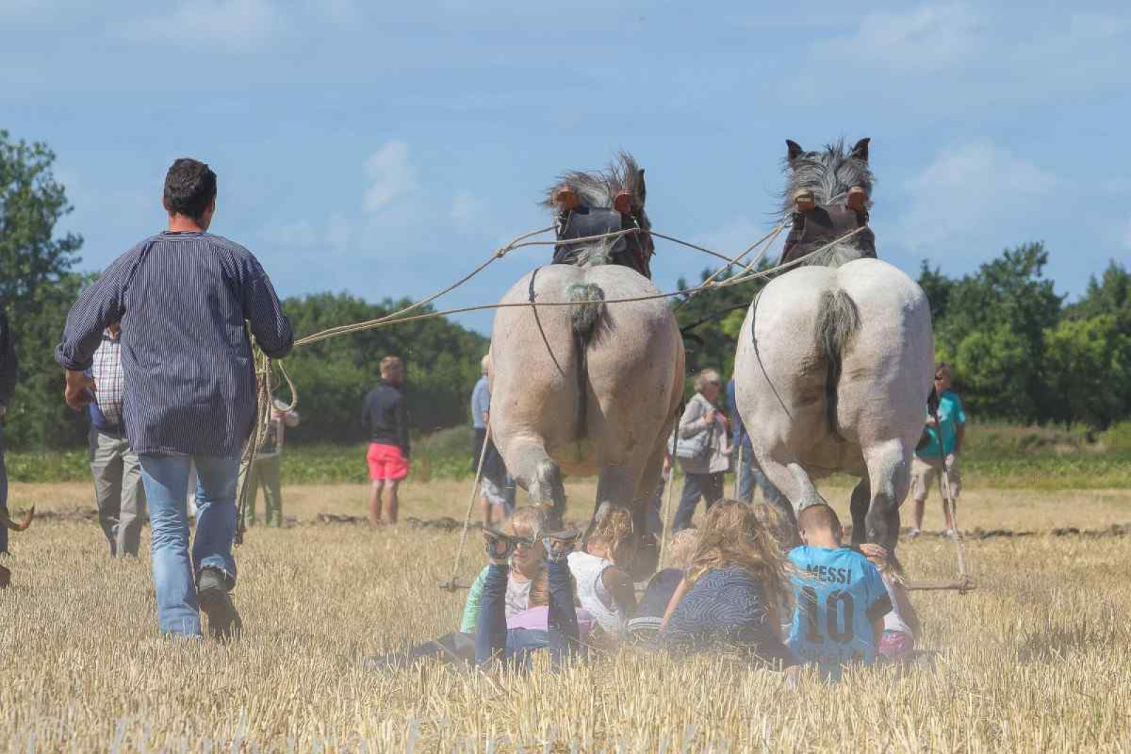 Moderne Kuechenausstattung im Ferienhaus ZE320 in Oostkapelle, Walcheren, fuer einen komfortablen Aufenthalt.