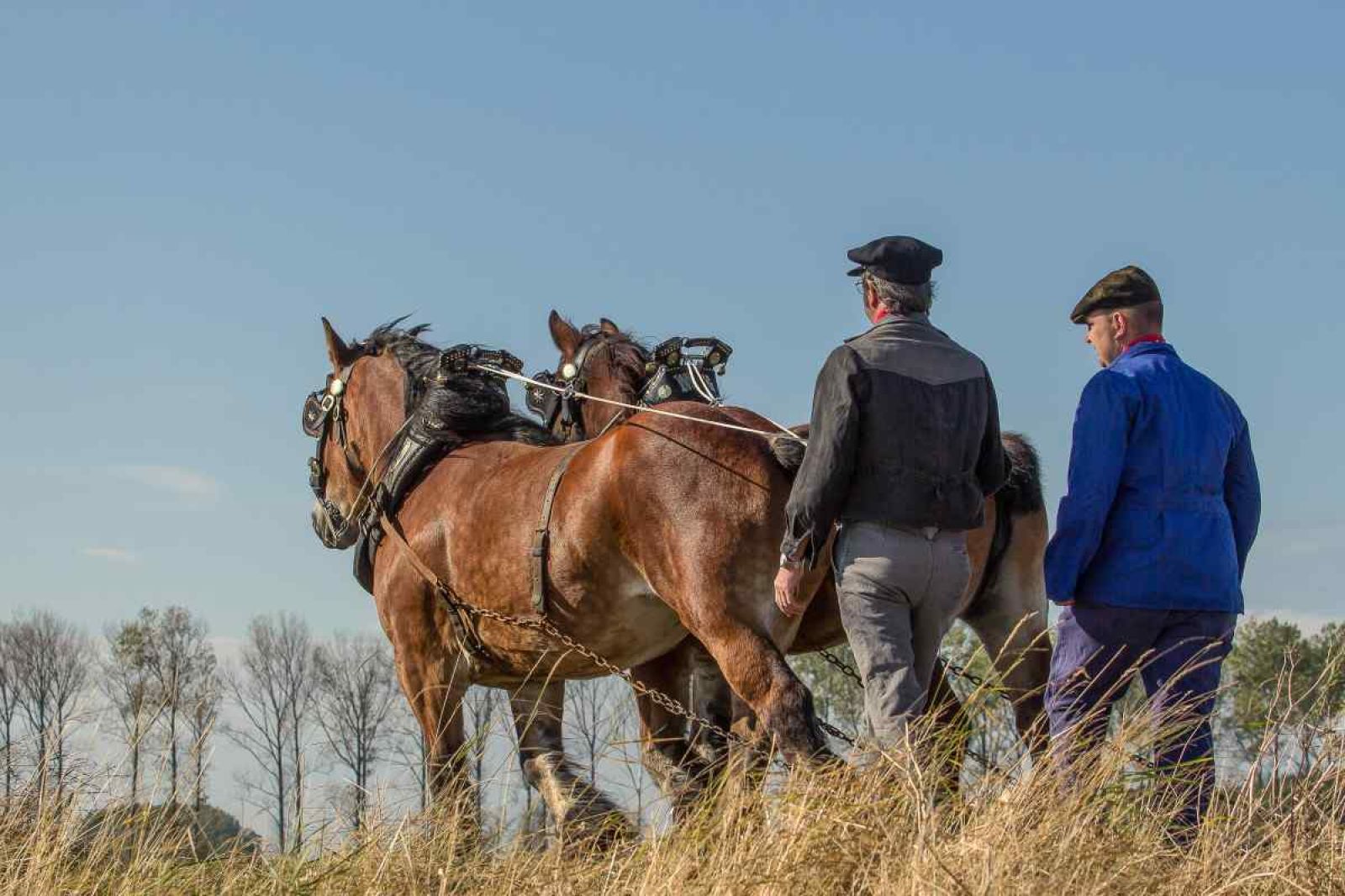Der grosse Garten des Ferienhauses ZE320 in Oostkapelle, Walcheren, ist ideal fuer Aktivitaeten im Freien.