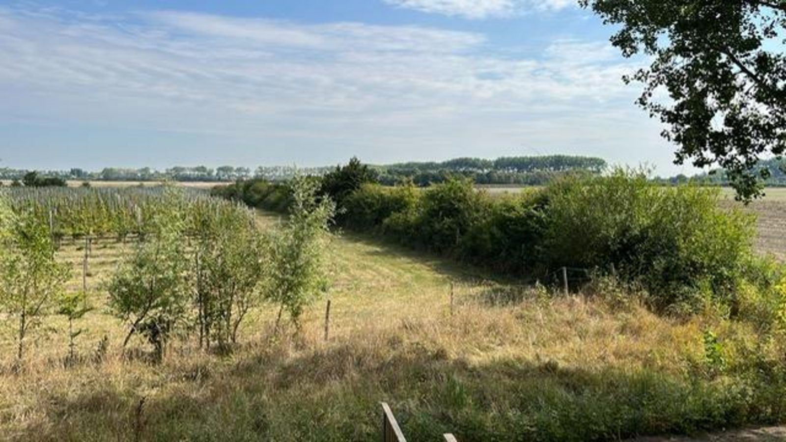 Blick auf die Landschaft bei VZ1167 Doppelhaushaelfte in Oostkapelle, Zeeland.