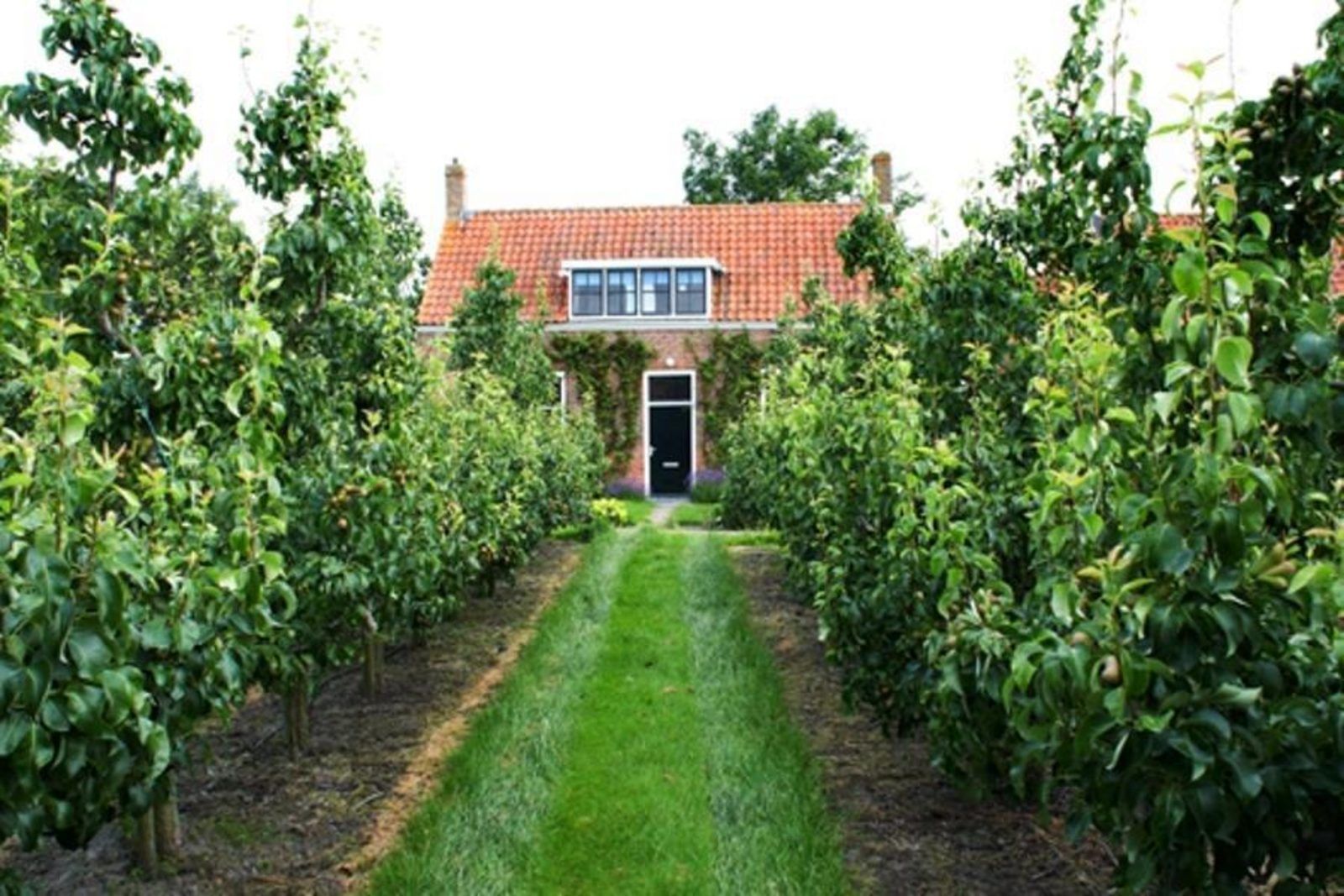 VZ2329 Ferienhaus inmitten eines ueppigen Obstgartens in Oostkapelle, Walcheren.
