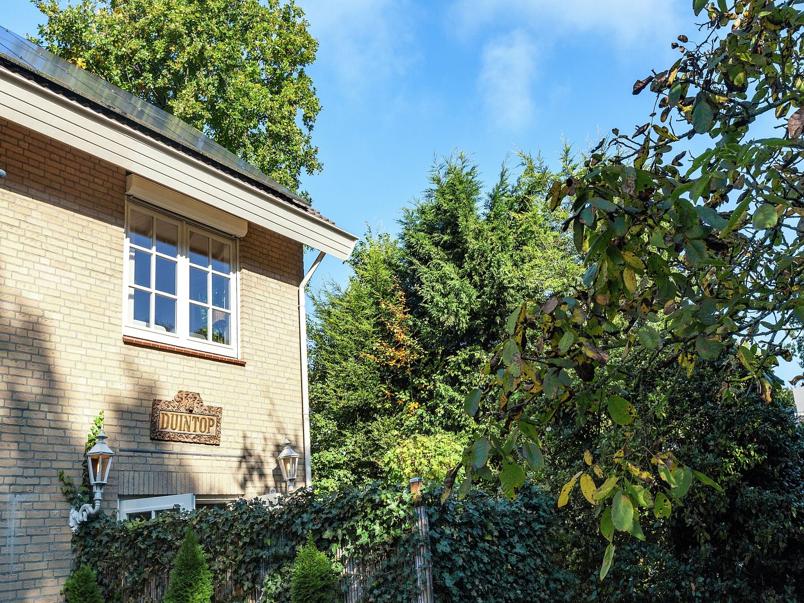 Unterkunft 6202166 - Appartement Walcheren - Twee Duinen