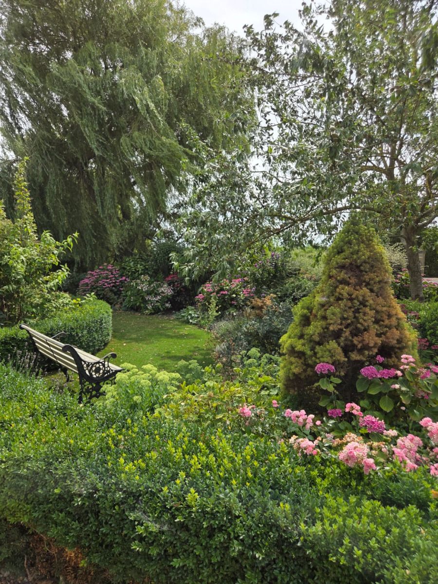Picture 21