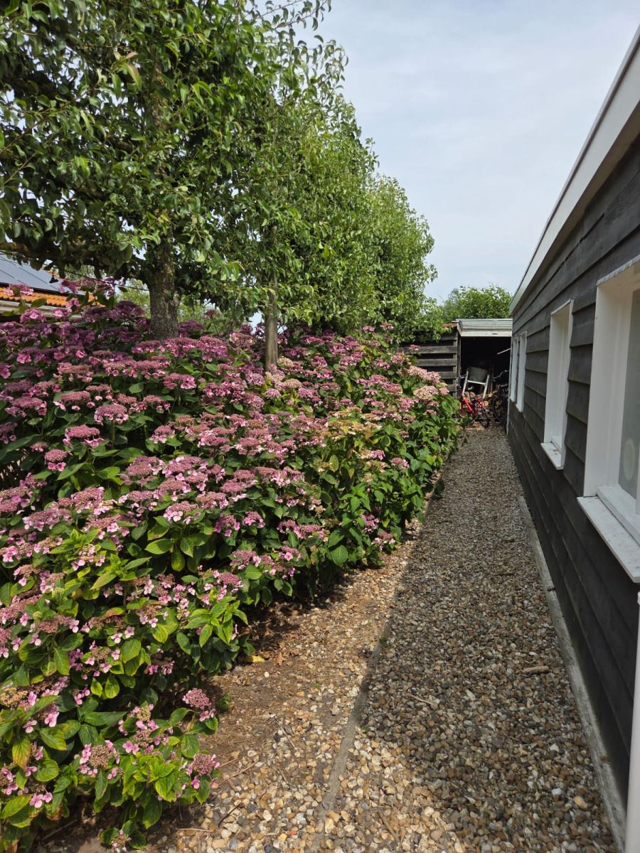 Picture 22