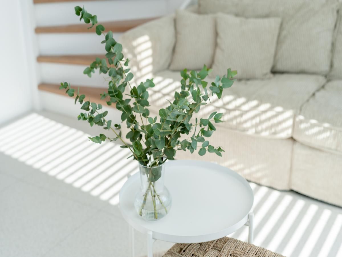 Guest house 6202181 - Holiday property Walcheren - Duin Bos Retreat Oostkapelle