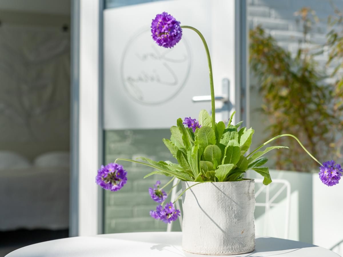 Verblijf 6202183 - Vakantiewoning Walcheren - Duinsuite