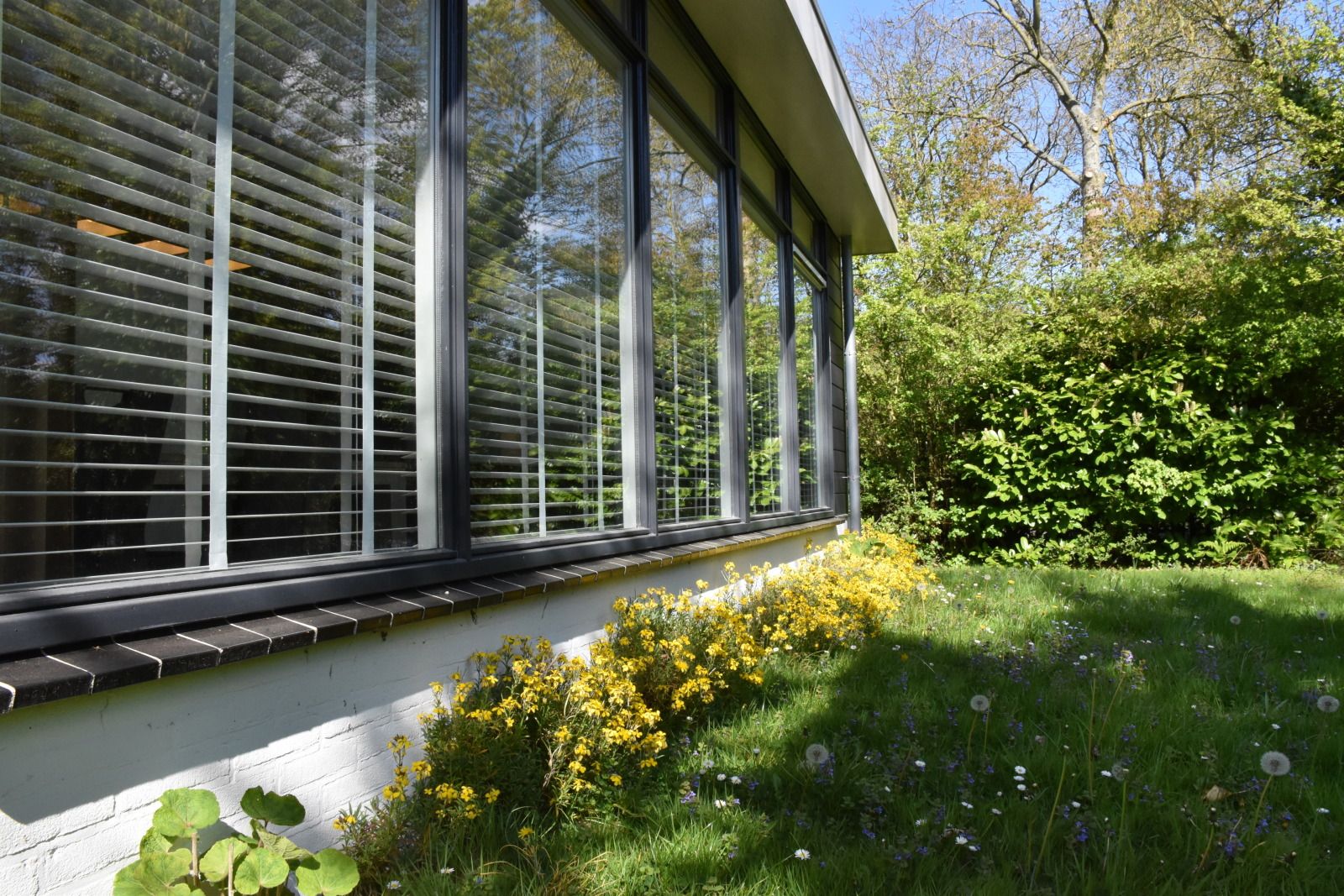 Guest house 6202184 - Holiday property Walcheren - ZE1732