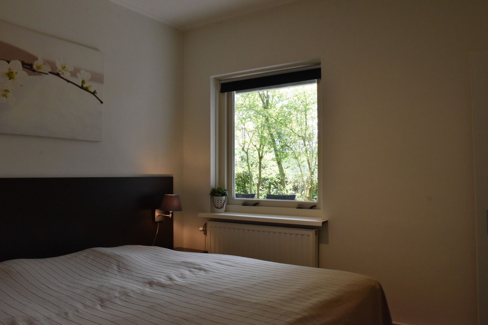 Guest house 6202184 - Holiday property Walcheren - ZE1732