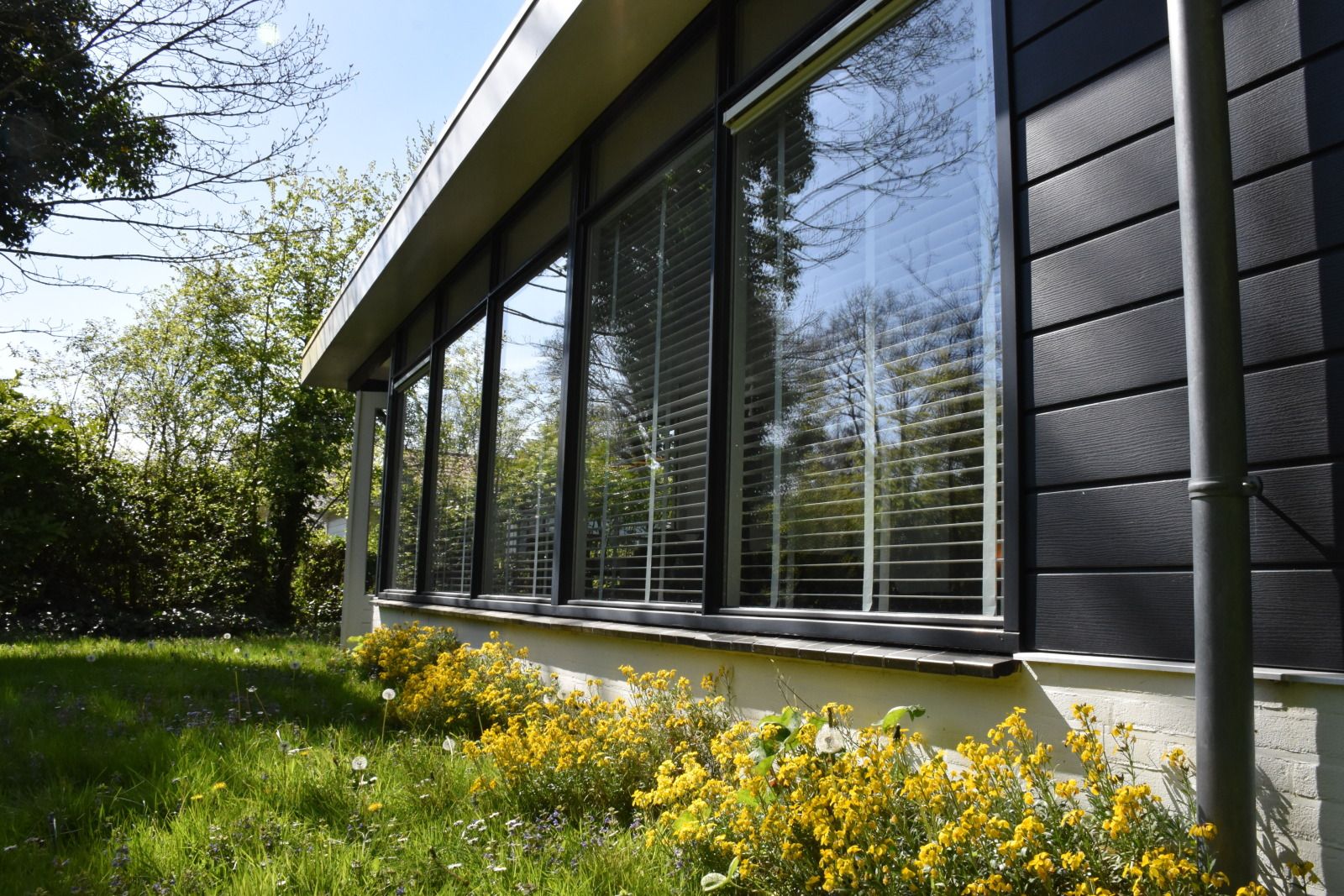 Guest house 6202184 - Holiday property Walcheren - ZE1732