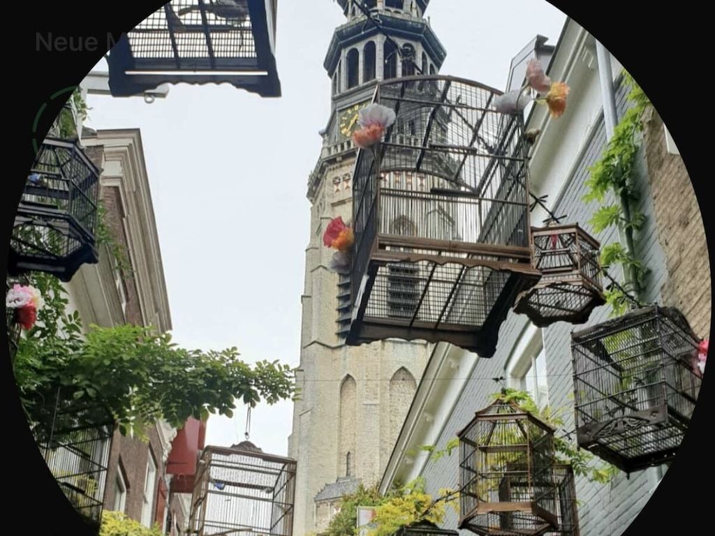 Unterkunft 6202197 - Ferienhaus Walcheren - 12084