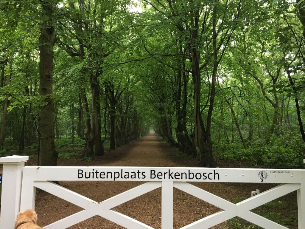 Unterkunft 6202197 - Ferienhaus Walcheren - 12084