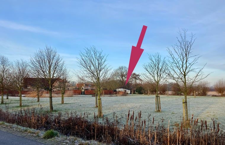 Terras met tuin bij Huisje in Oostkapelle, vakantiehuis in Zeeland.