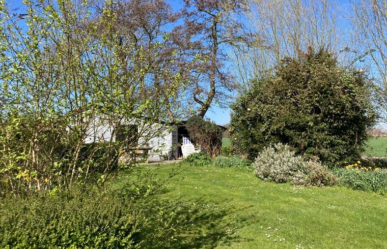 Natuurrijke omgeving van Huisje in Oostkapelle, Zeeland.