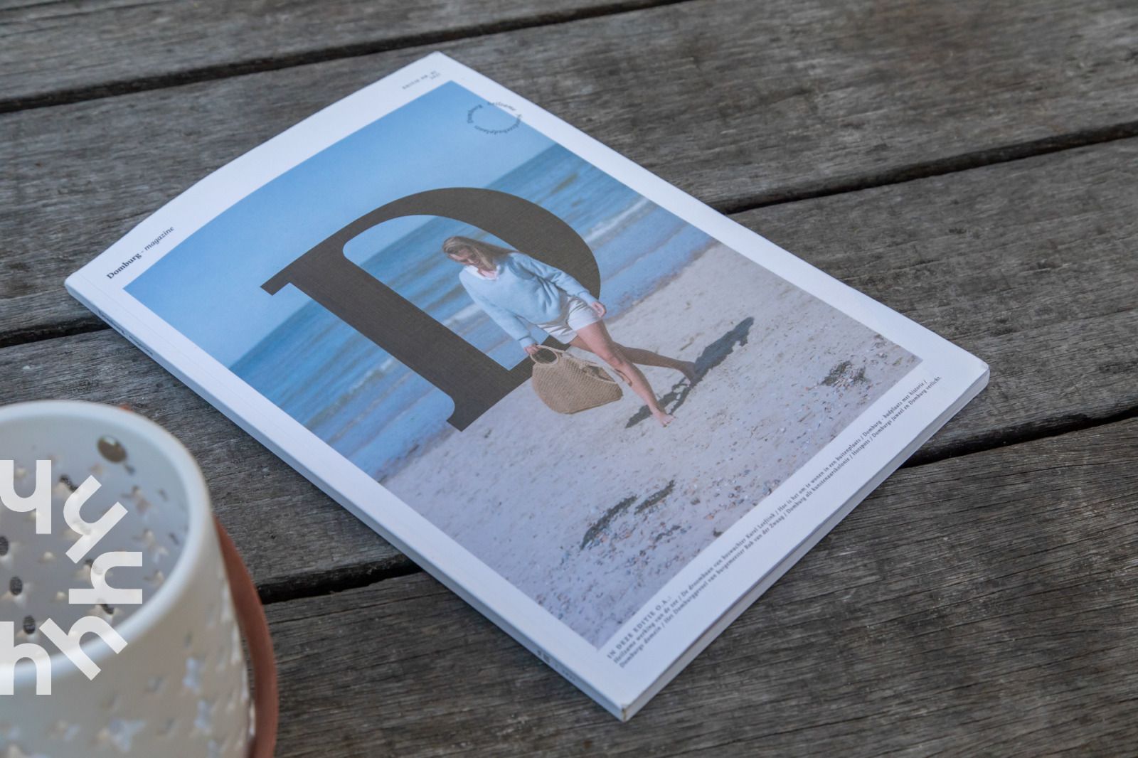 Deer in nature around vacation home ZE721, Oostkapelle, Walcheren.