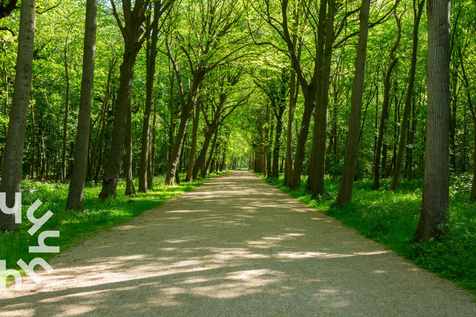 Cyclists in the center of Oostkapelle near vacation home ZE721, Walcheren.