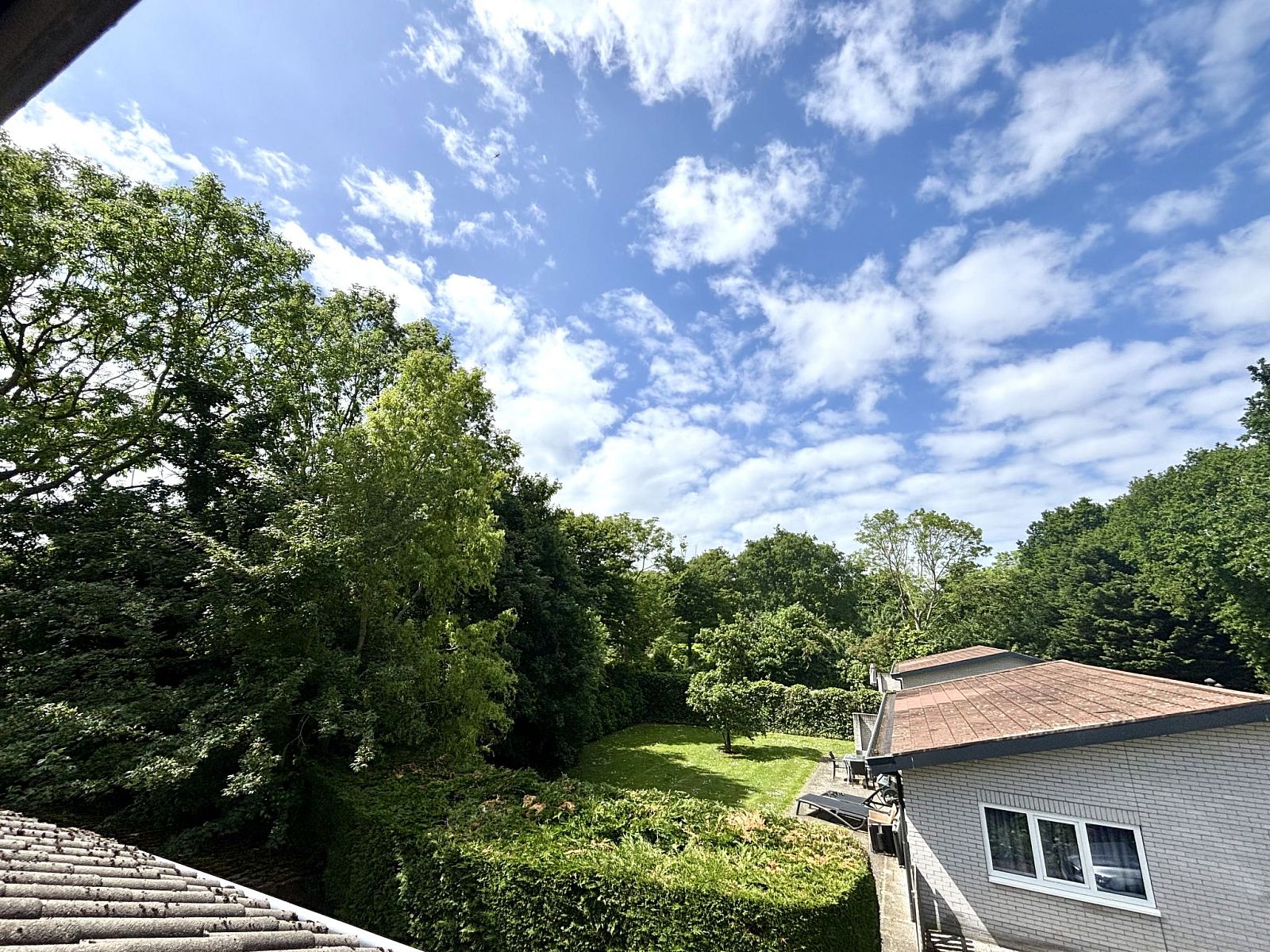 Uitzicht op groene omgeving vanuit Appartement Boszicht 4, Oostkapelle, Walcheren, Zeeland.