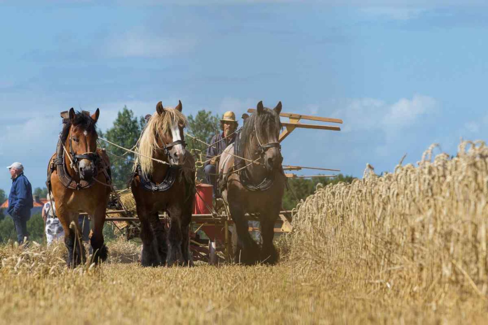 Lichte woonkamer in vakantiehuis ZE322, Oostkapelle, Walcheren, Zeeland met moderne inrichting.