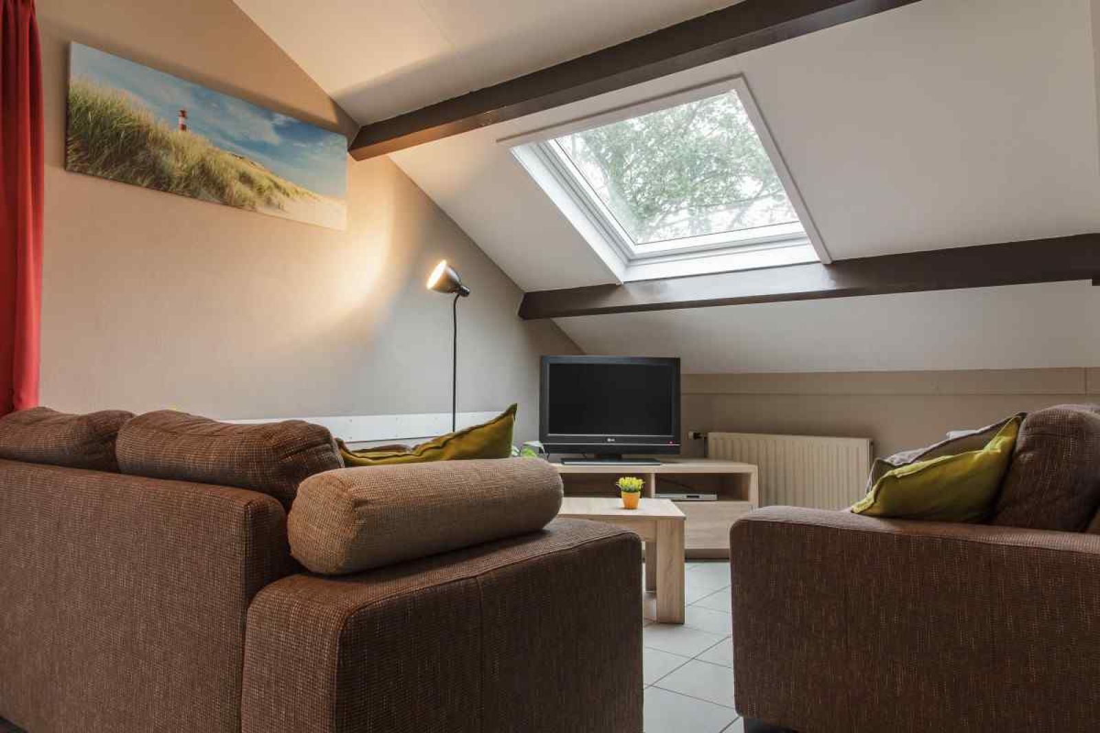 Hert in de natuur rondom vakantiehuis ZE322 in Oostkapelle, Walcheren, Zeeland.