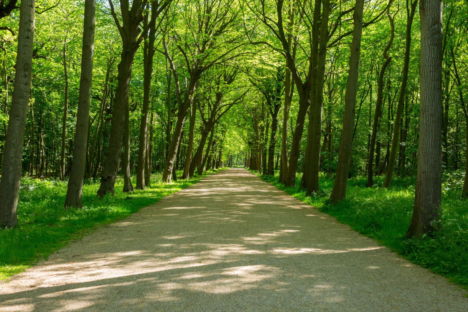 Ontdek de historische charme van vakantiehuis ZE1678 in Oostkapelle, Walcheren, Zeeland, omgeven door prachtige natuur en een serene omgeving.