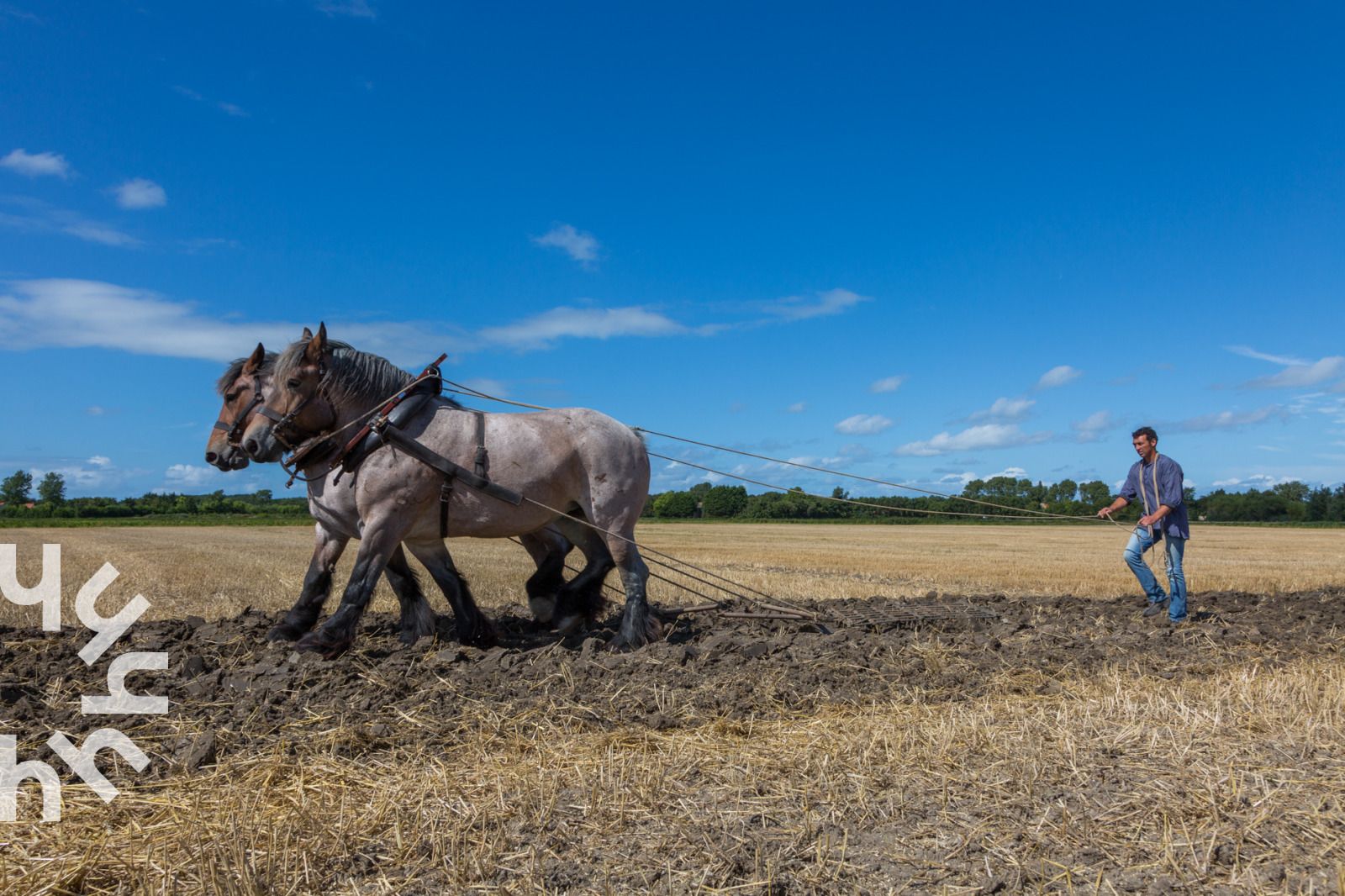 Vorderansicht des Ferienhauses ZE624 in Oostkapelle, Walcheren, umgeben von Gruenanlagen.