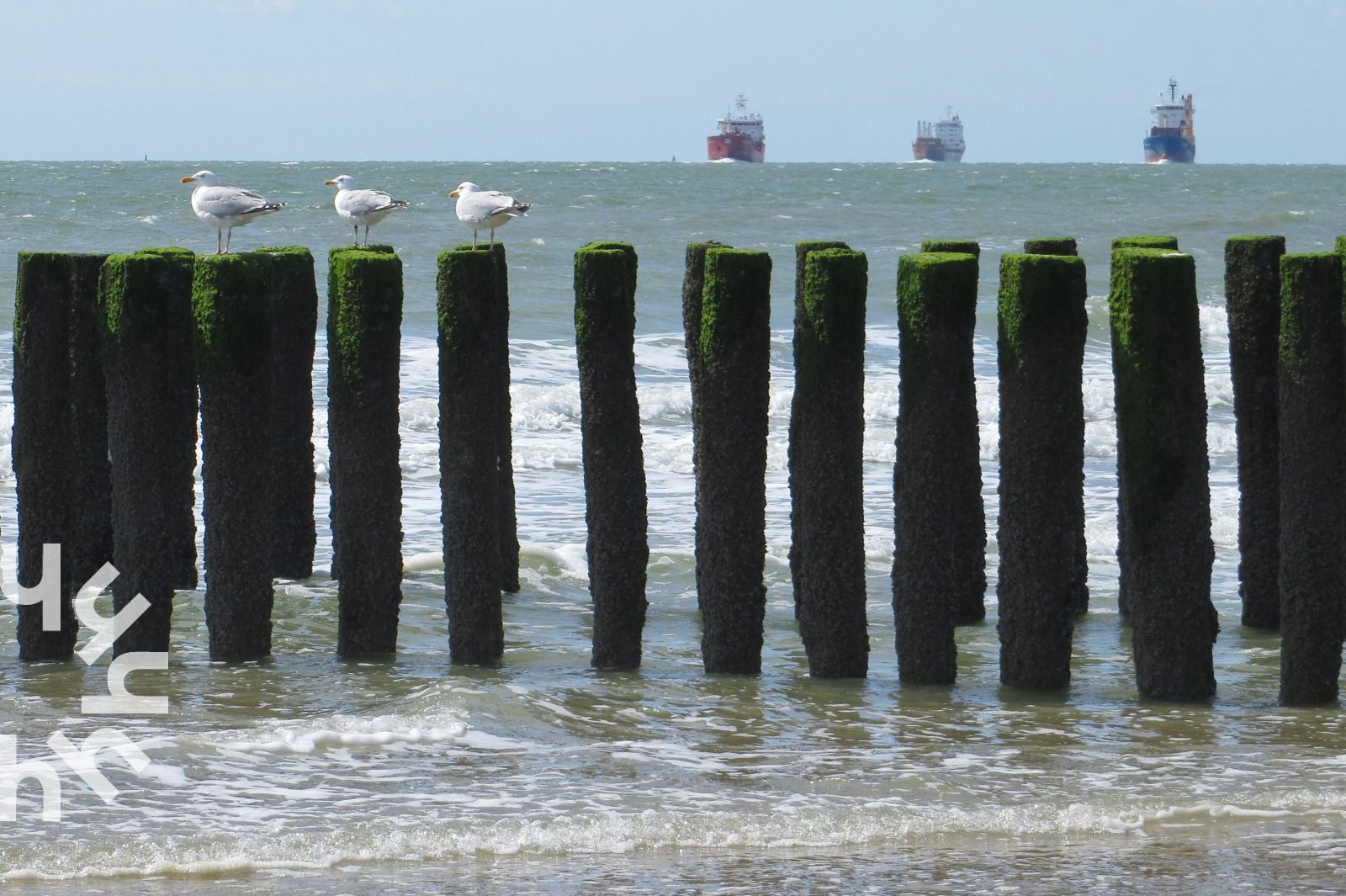 Prachtig uitzicht op de vuurtoren nabij ZE926 in Westkapelle, Zeeland.
