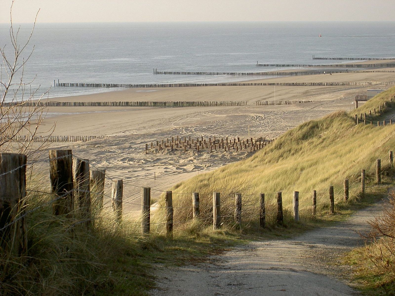 Unterkunft 620330 - Appartement Walcheren - Appartement Luxuriöses Studio für 2 Personen de Zuus