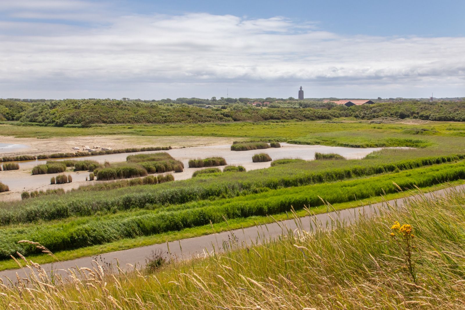 Verblijf 620369 - Vakantiewoning Walcheren - ZE1746