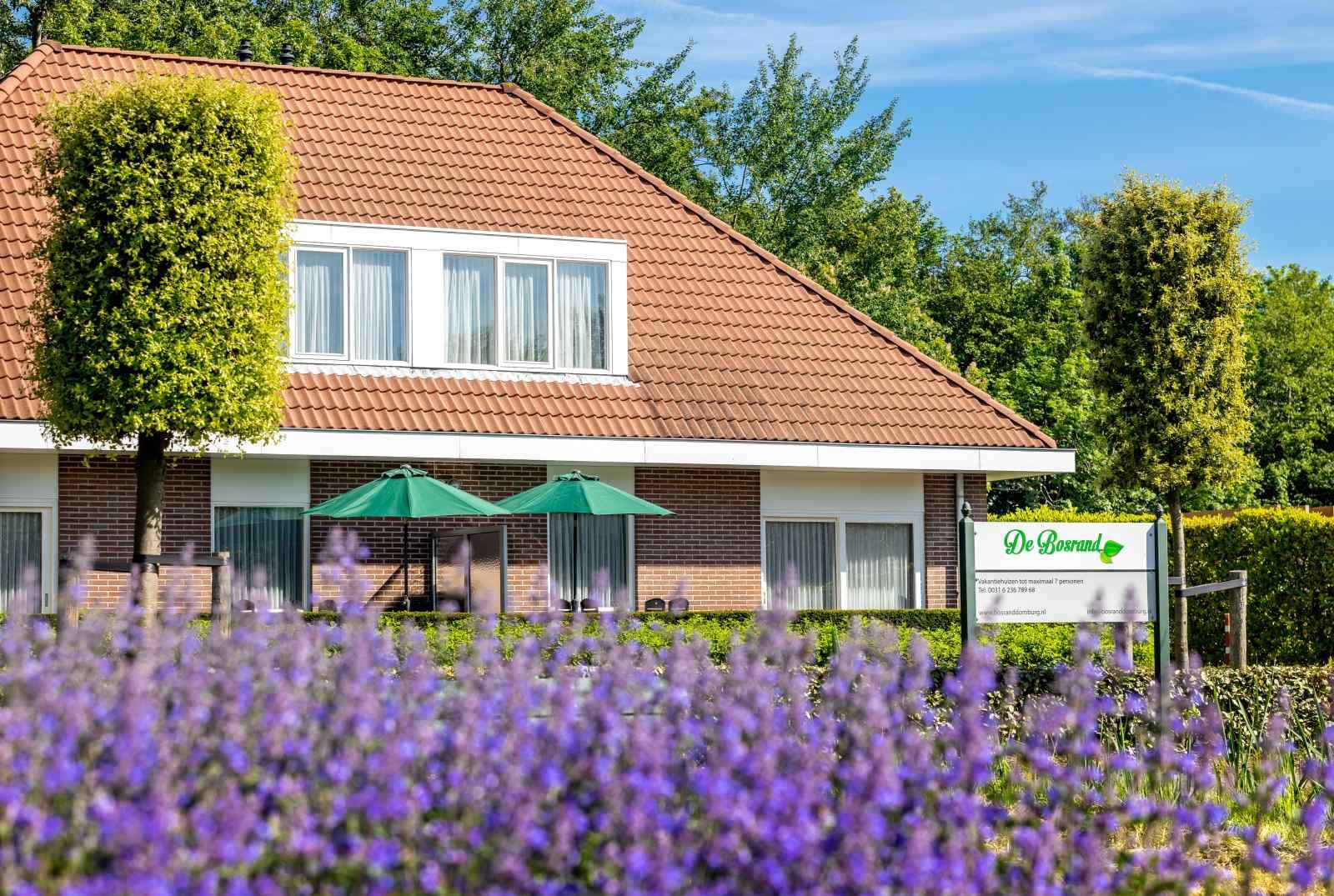 ZE014 vakantiehuis in Domburg, Walcheren met prachtige tuin en terras, ideaal voor ontspanning in Zeeland.