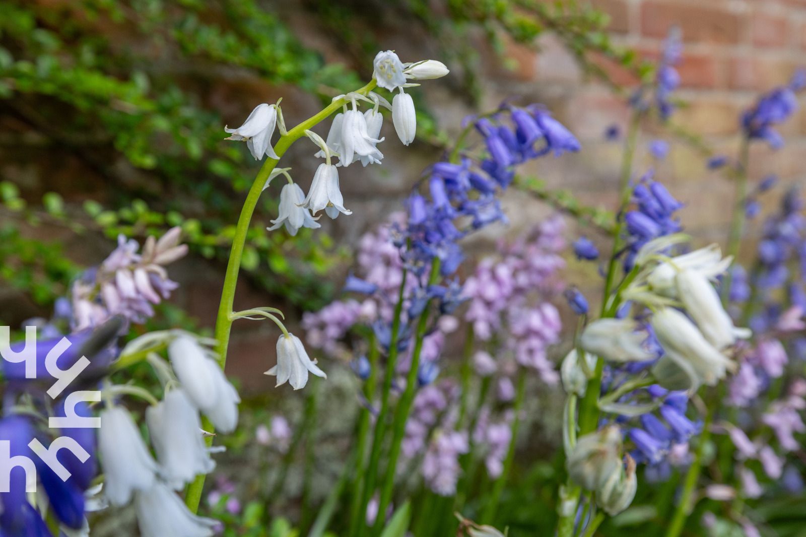 Guest house 620466 - Holiday property Walcheren - ZE074