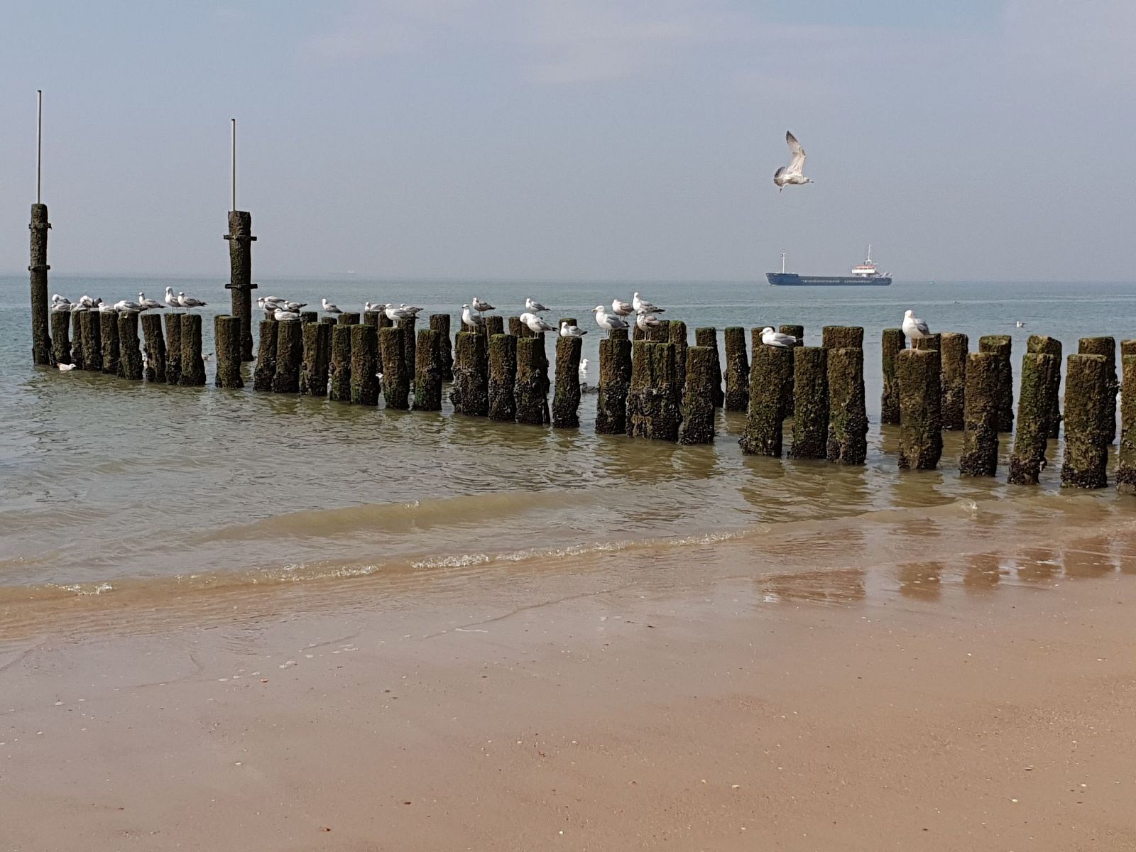 Guest house 620527 - Holiday property Walcheren - Vakantiehuis Havenzicht National Monument