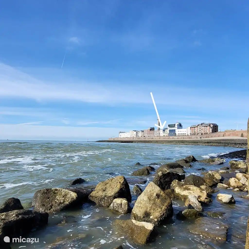 Guest house 620587 - Holiday property Walcheren - Vakantiehuis Zeezicht