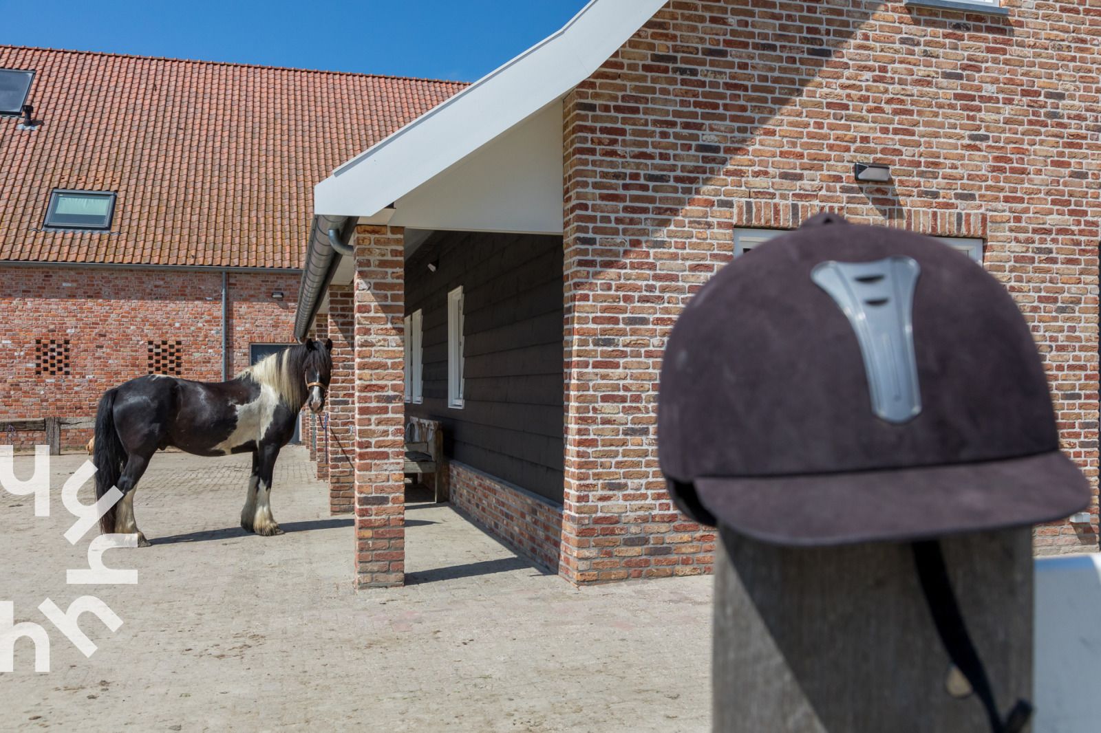 Paard in de tuin van vakantiehuis ZE1445 in Aagtekerke, Walcheren, omgeven door groen.