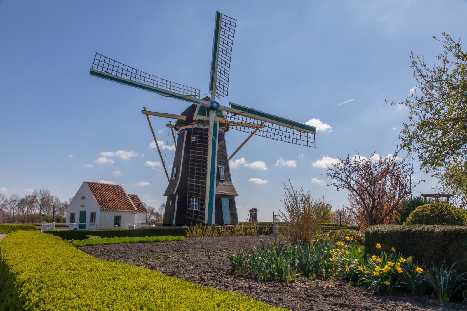 Verblijf 620612 - Vakantiewoning Walcheren - ZE1705