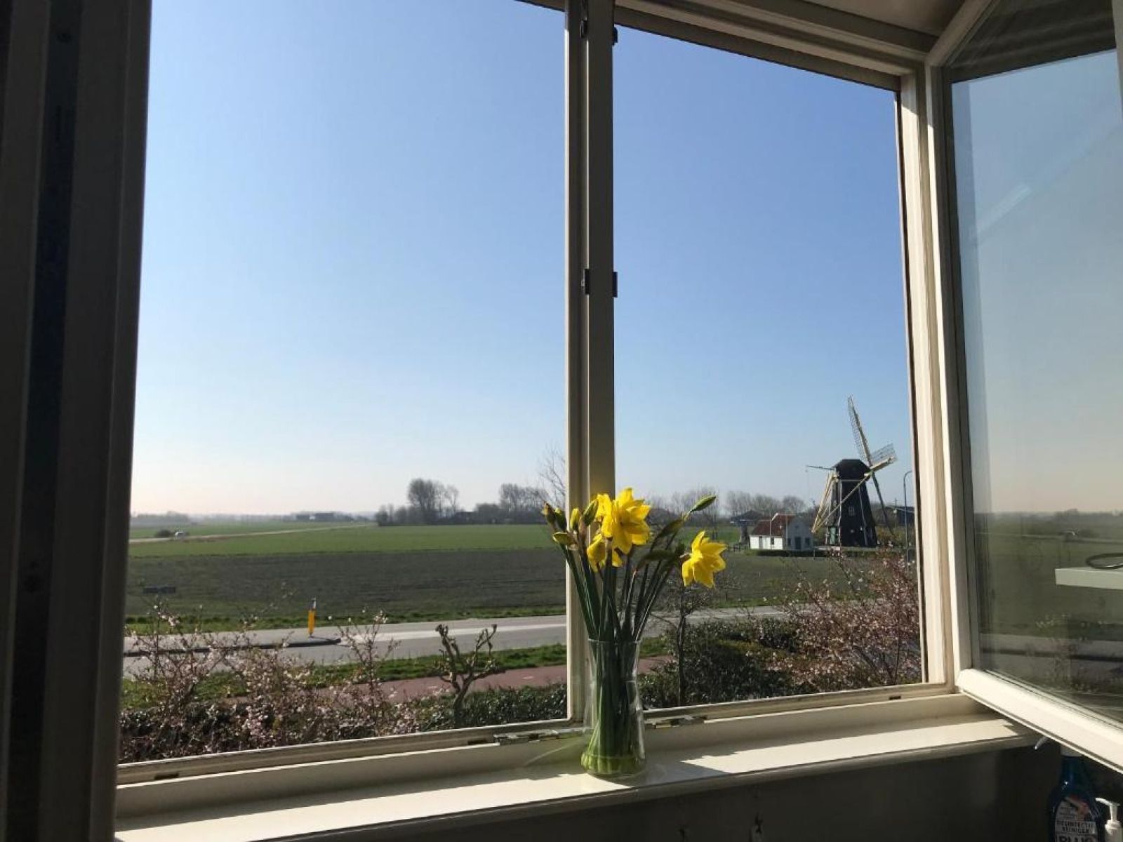 Verblijf 620612 - Vakantiewoning Walcheren - ZE1705