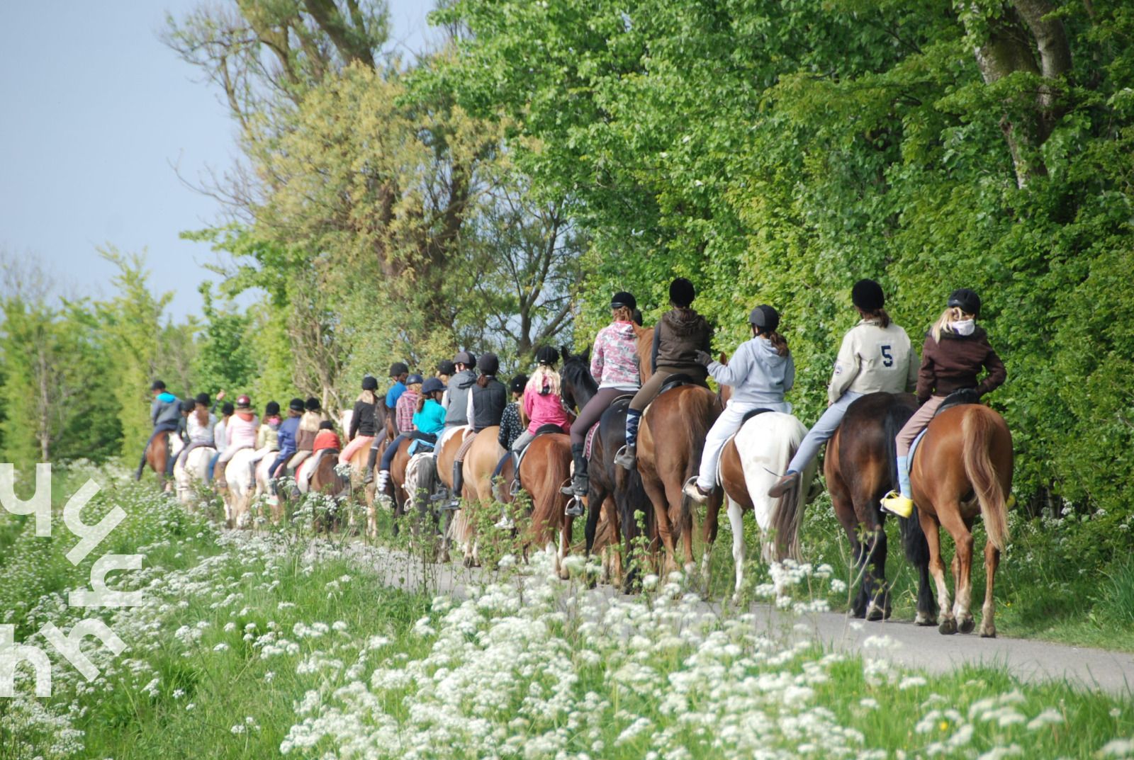 Paardrijden in natuurgebied nabij ZE1448 vakantiehuis in Aagtekerke, Walcheren.