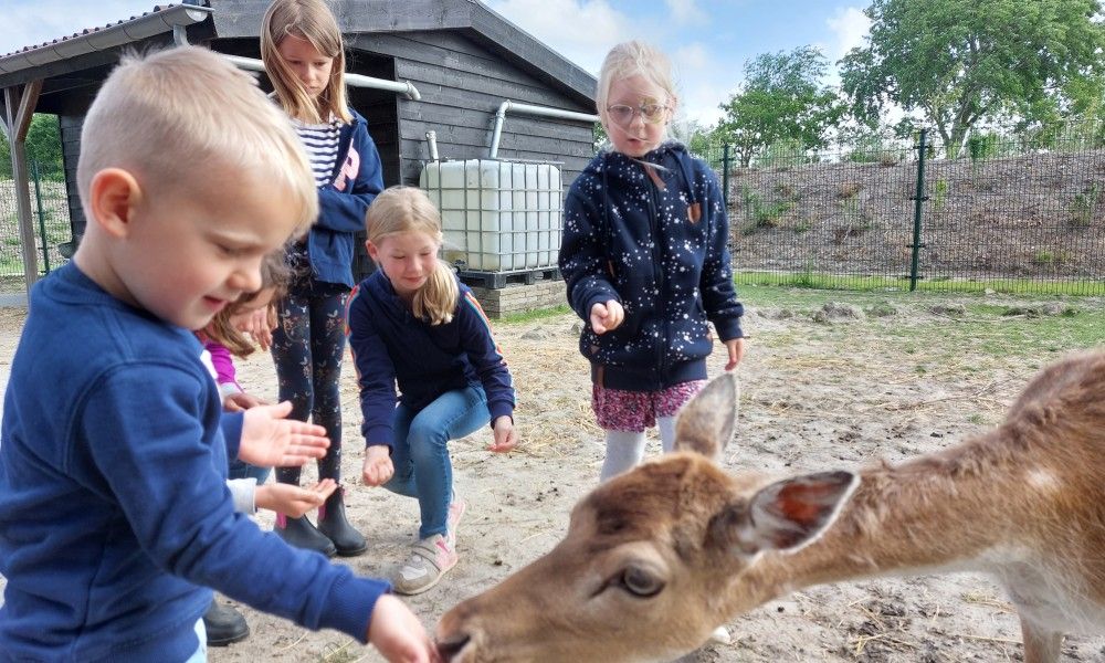 Kinder fuettern Rehe in der Naehe des Zeeotter 6 Persoons vakantiehuis, Zoutelande, Walcheren, Zeeland.