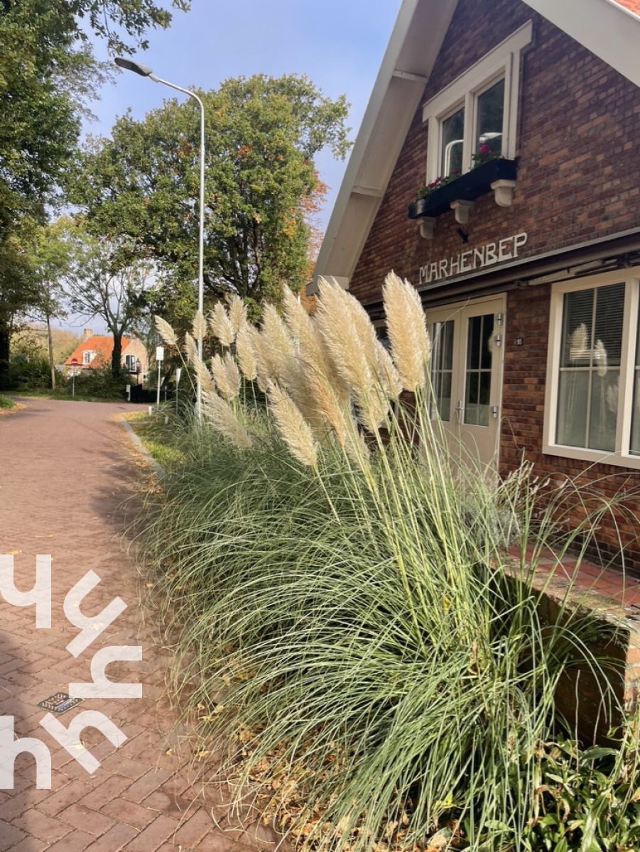 Guest house 620710 - Holiday property Walcheren - ZE1541