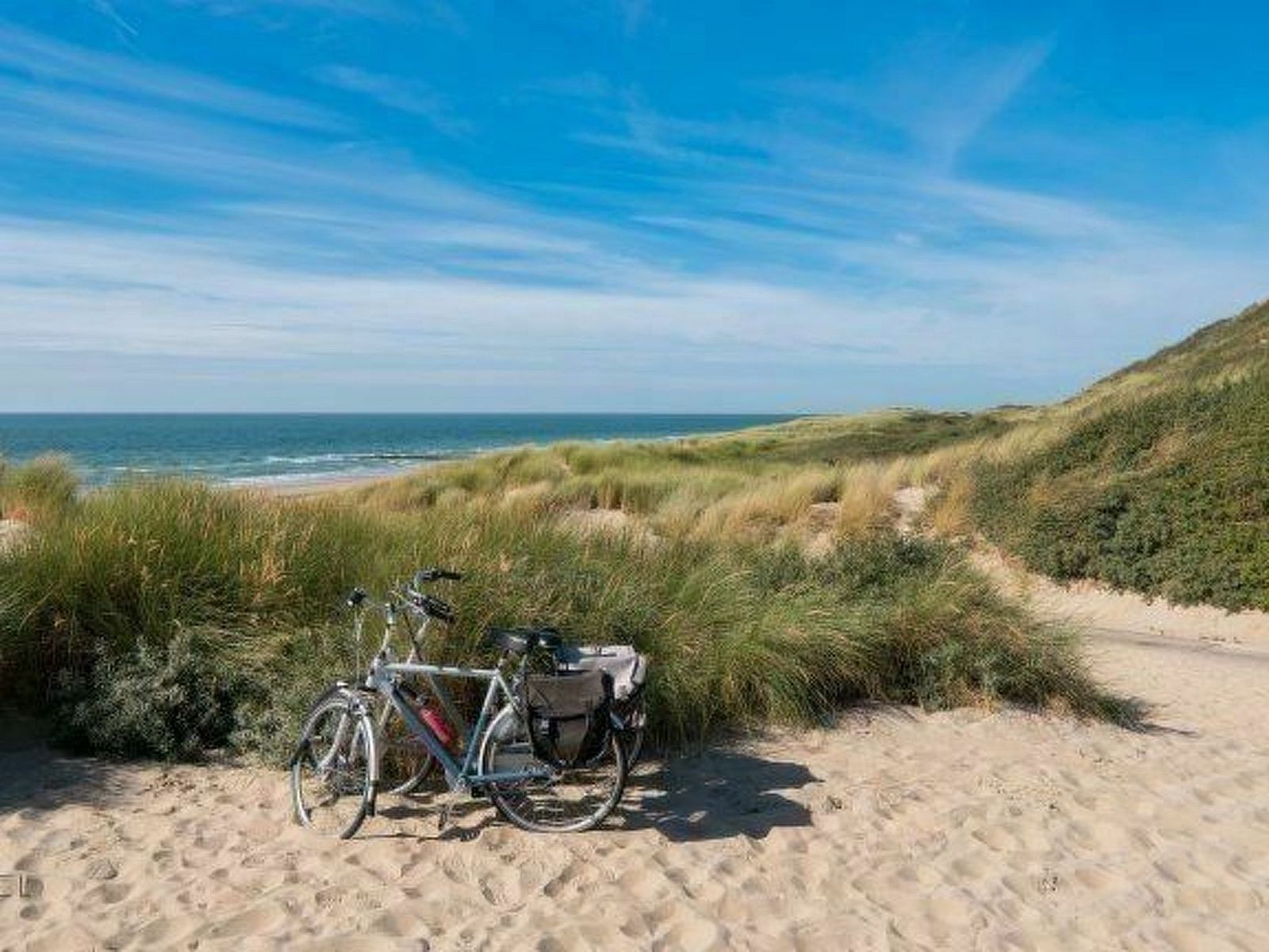 Verblijf 6207135 - Vakantiewoning Walcheren - Vakantiehuis Zeeschelp XL mit Hund