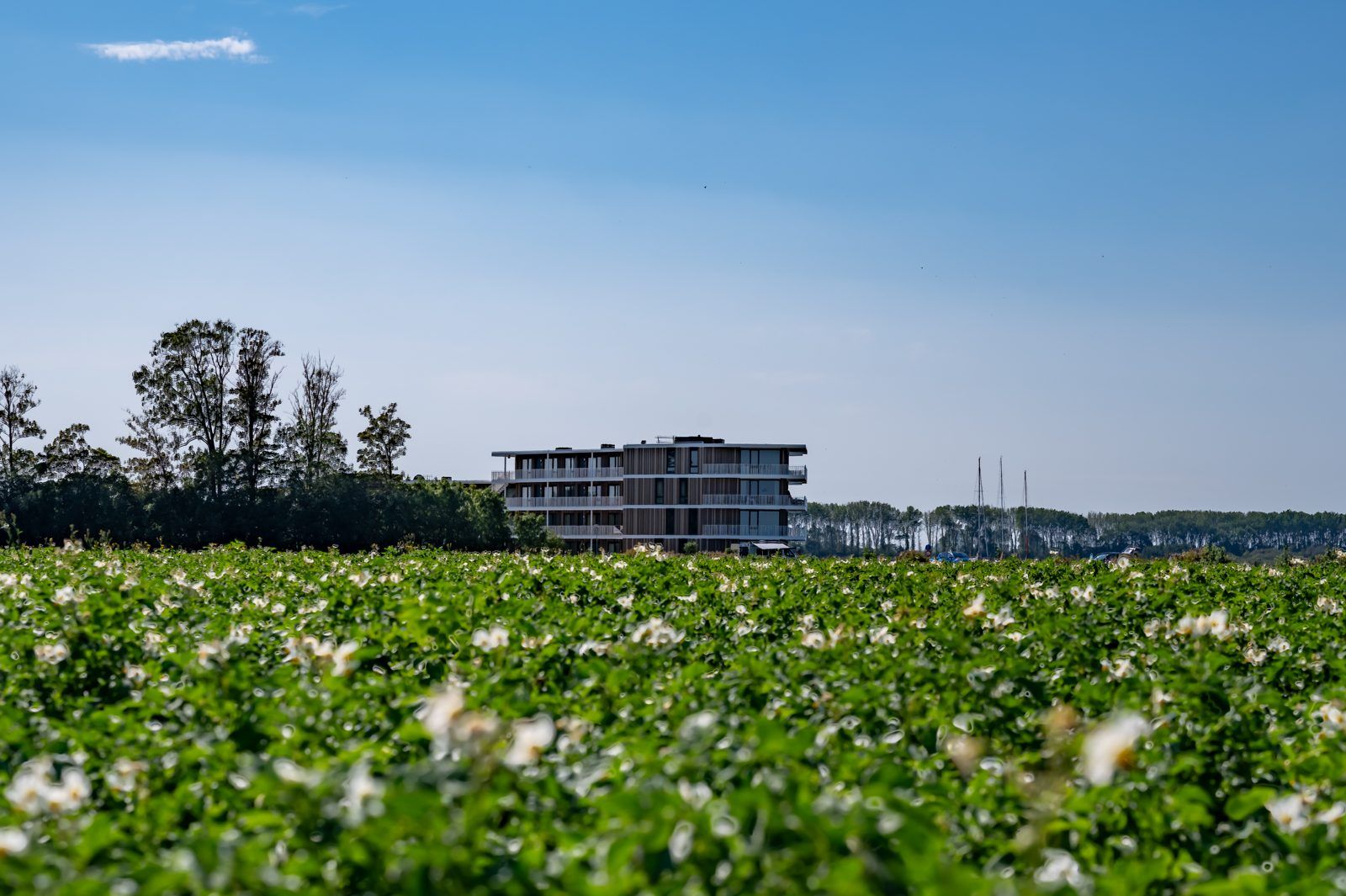 Verblijf 620850 - Vakantiewoning Walcheren - Lamsoor 91 | Veerse Wende
