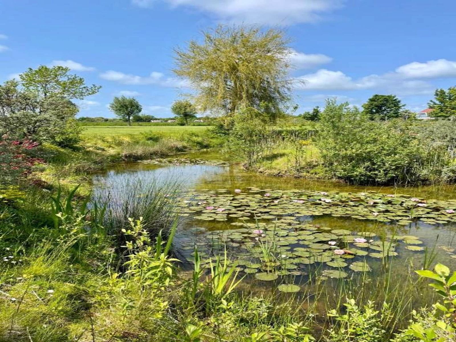 Guest house 6209115 - Holiday property Walcheren - Oranjezon app 4p