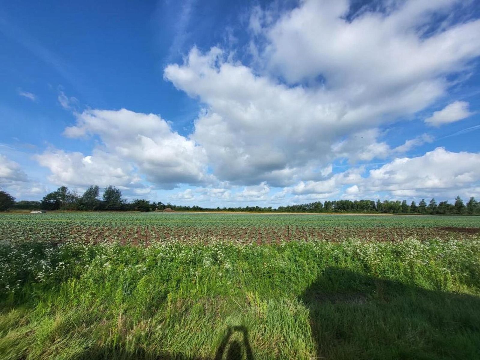 Guest house 6209115 - Holiday property Walcheren - Oranjezon app 4p