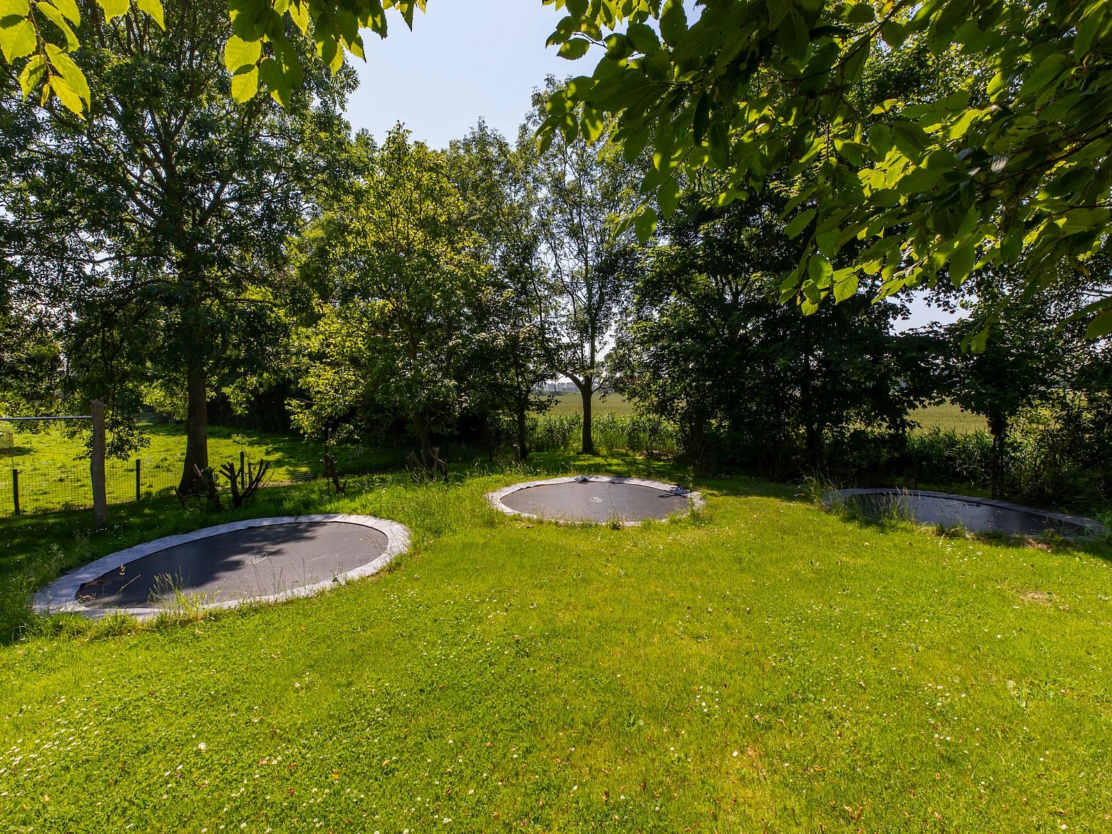 Unterkunft 6209117 - Ferienhaus Walcheren - Studio - Kon Emmaweg 6